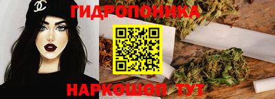 сатива Аша