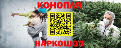 сатива Аша