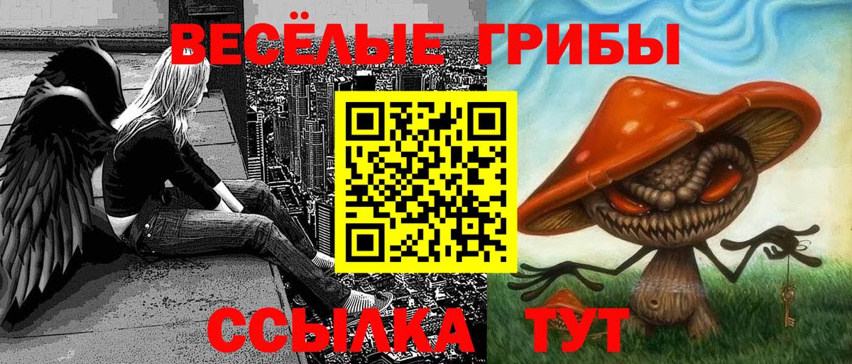 Галлюциногенные грибы мицелий Воскресенск